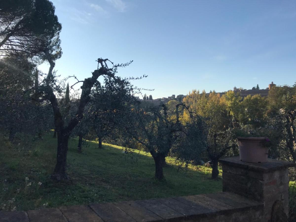 La Perla Tra Gli Ulivi Apartment Сиена Екстериор снимка